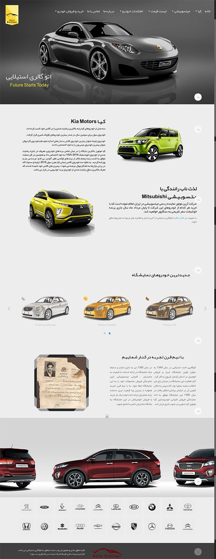 طراحی سایت اتوگالری استیلایی توسط شرکت طراحی سایت سورنا در کرمان